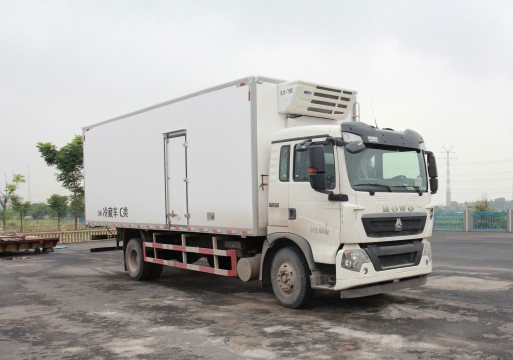 ZZ5187XLCK561GE1س