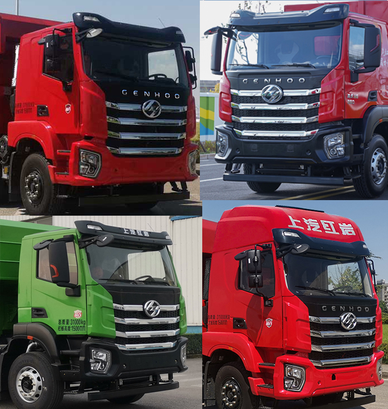 ������CQ5317ZLJED10306����жʽ������